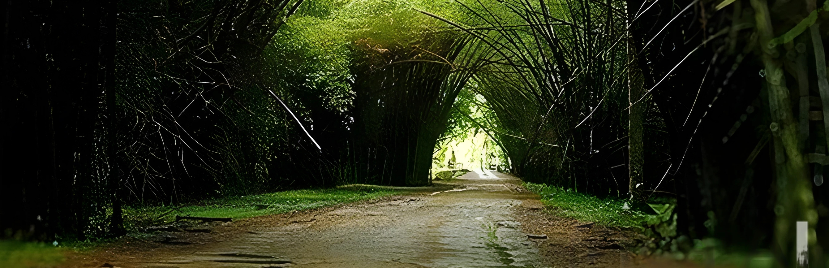 Jardín Botánico Lancetilla